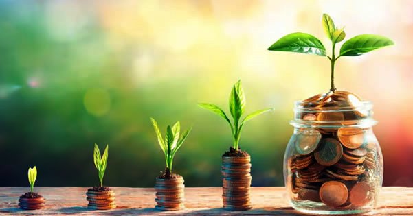 Savings at Magister Sacco